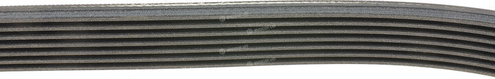 Continental 7PK1125