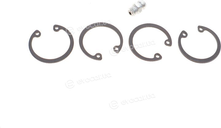 Solgy 218021