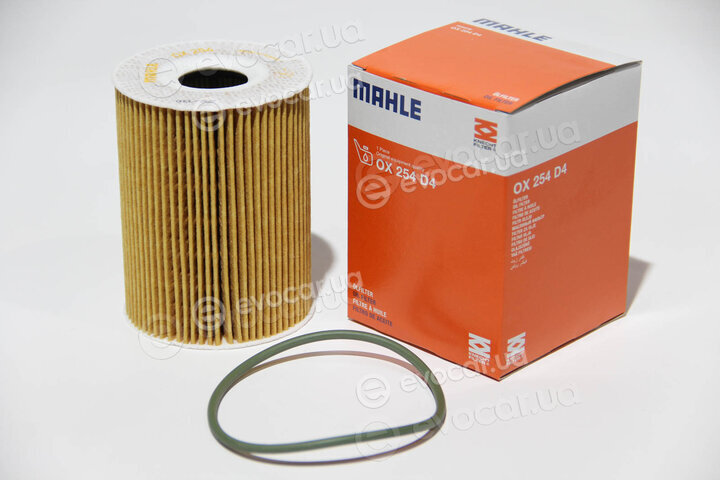 Mahle OX 254D4