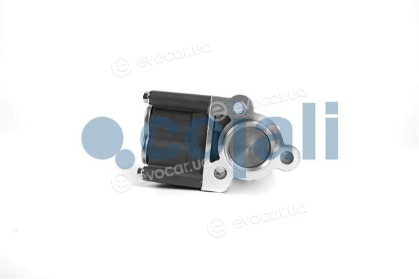 Cojali 2816001