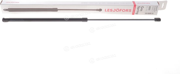 Lesjofors 8063410
