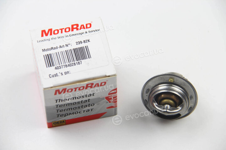 Motorad 239-82K