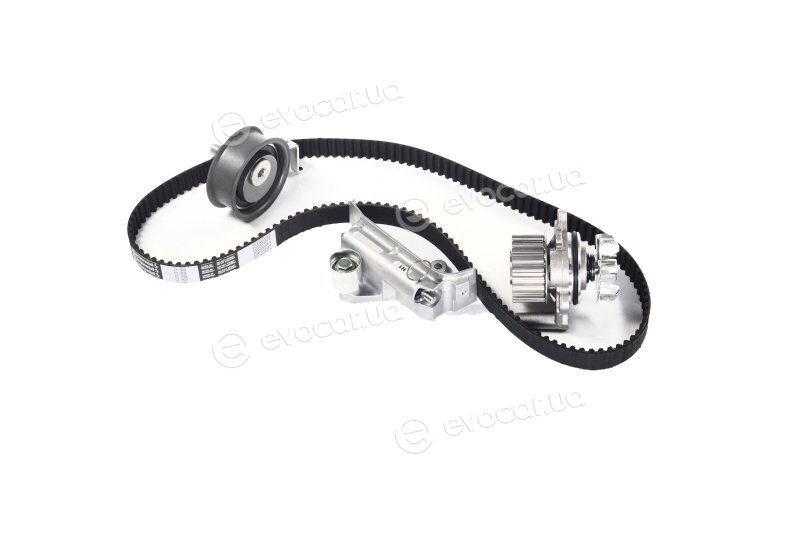 Continental CT909WP1