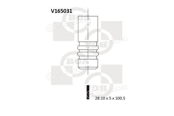 BGA V165031