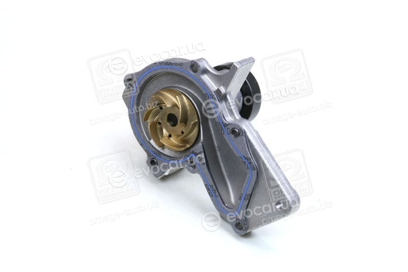 Hepu P255
