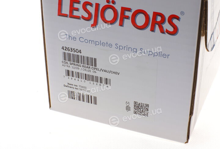 Lesjofors 4263504