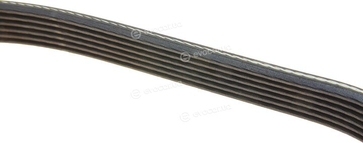 Dayco 6PK986