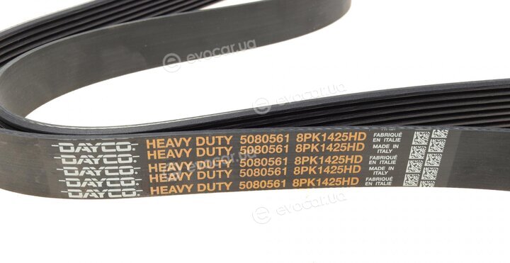 Dayco 8PK1425HD