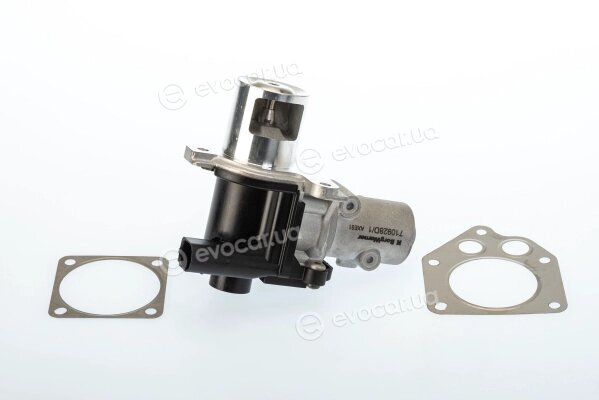Wahler / BorgWarner 710928D