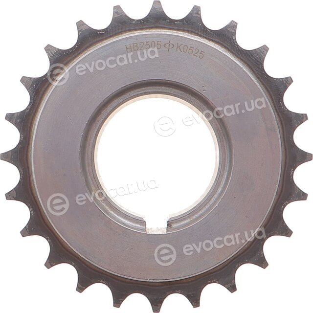Motive TCK55