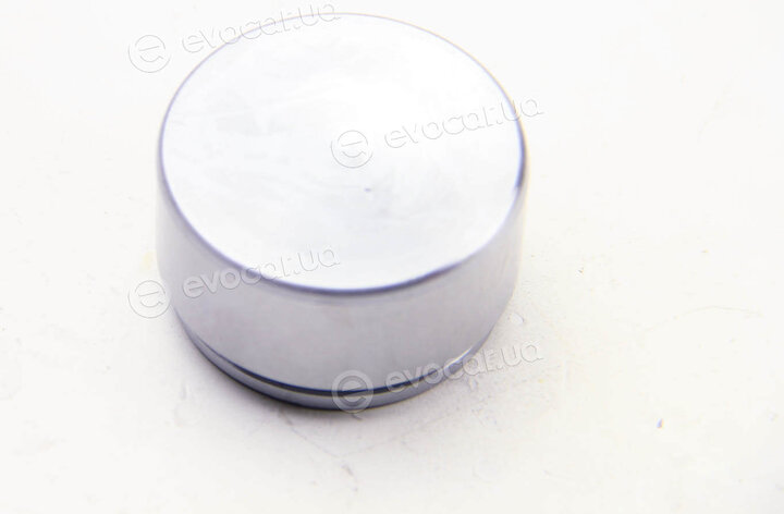 Autofren D025447