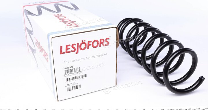 Lesjofors 4008498