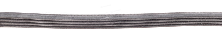 Continental 4PK874 ELAST