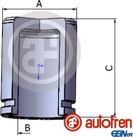 Autofren D025770