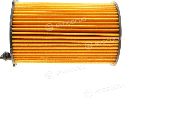 Borsehung B10540