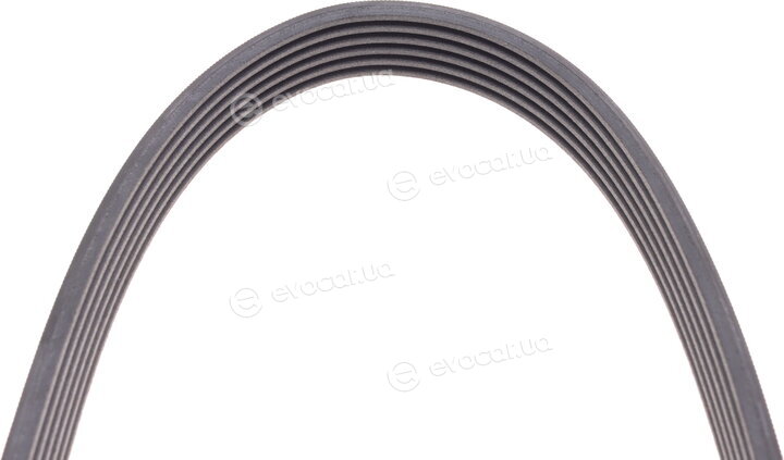Continental 6PK1318