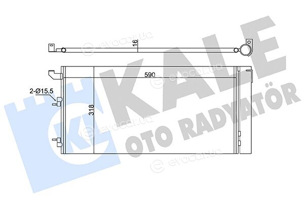 Kale 350570