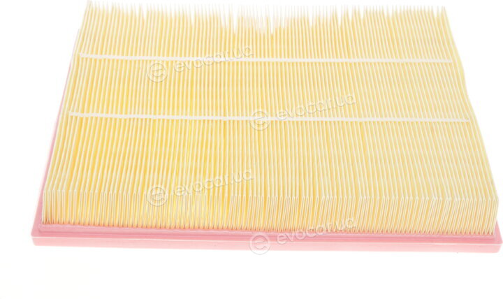 Solgy 103047