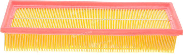 Solgy 103074