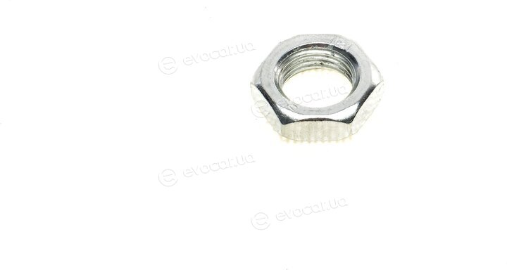 Solgy 206012