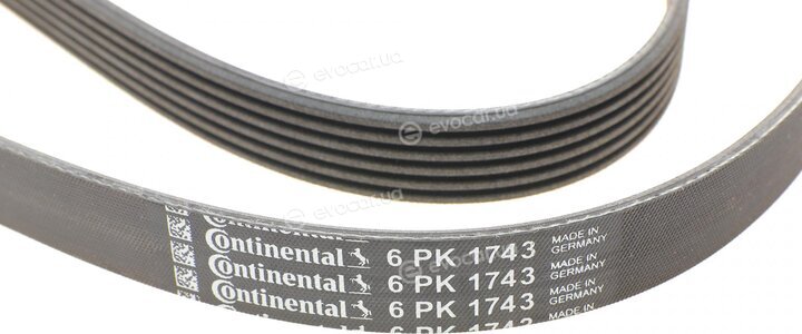 Continental 6PK1743