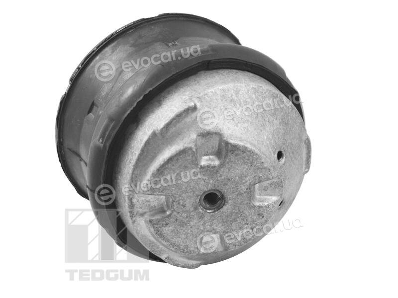Tedgum TED72237