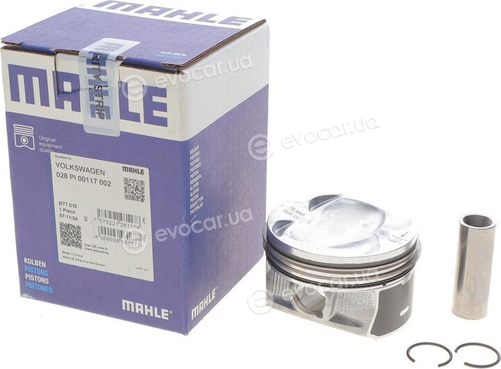 Mahle 028 PI 00117 002