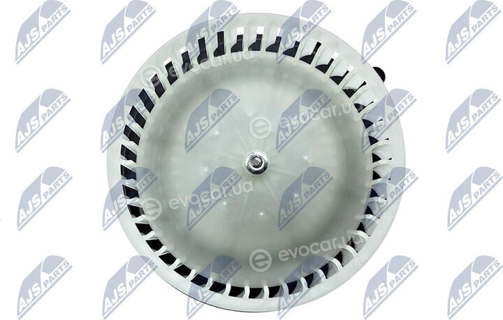 NTY EWN-NS-000