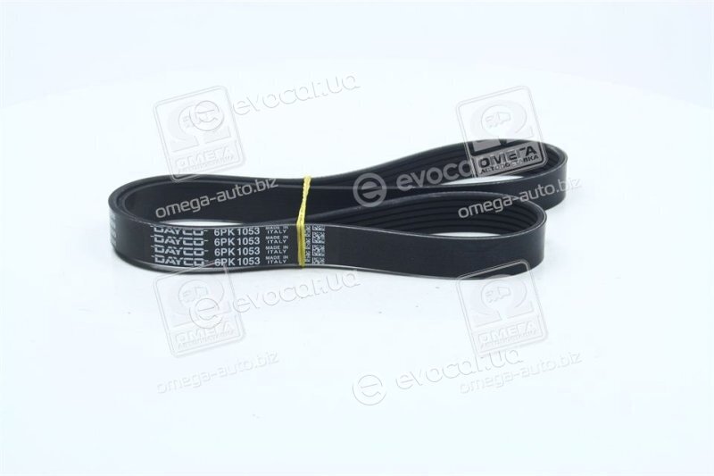 Dayco 6PK1053