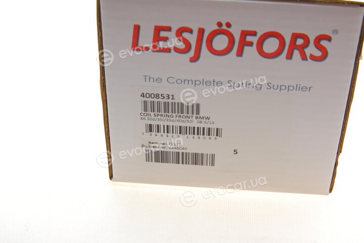 Lesjofors 4008531