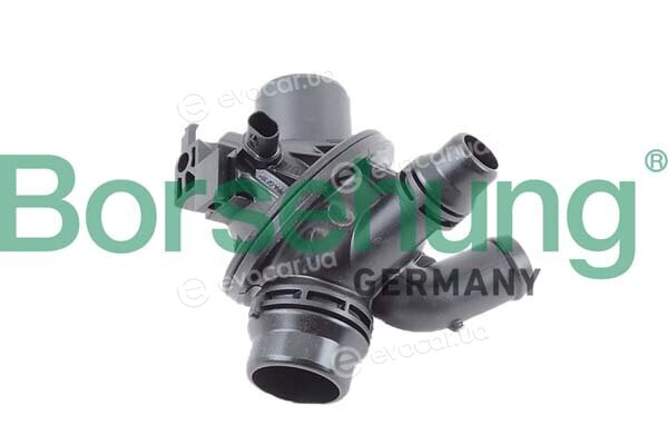 Borsehung B10561
