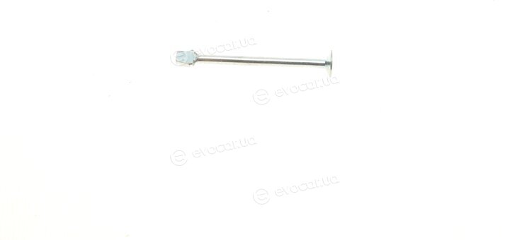 AIC 54813