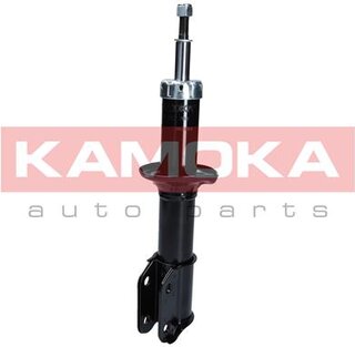 Kamoka 2001040