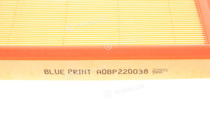 Blue Print ADBP220038