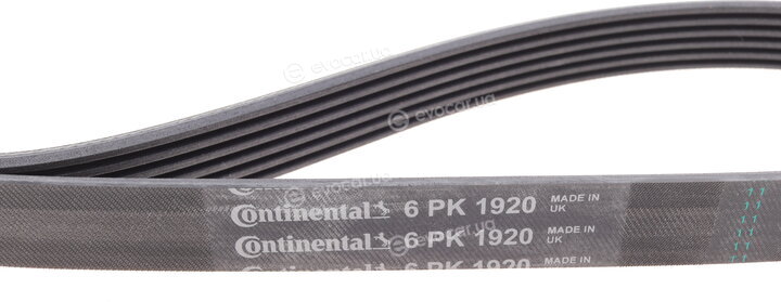 Continental 6PK1920