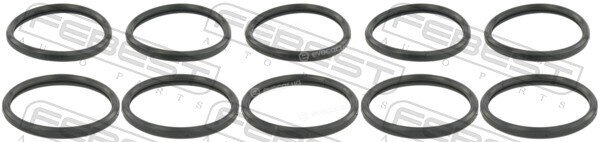 Febest RINGWH-015-PCS10