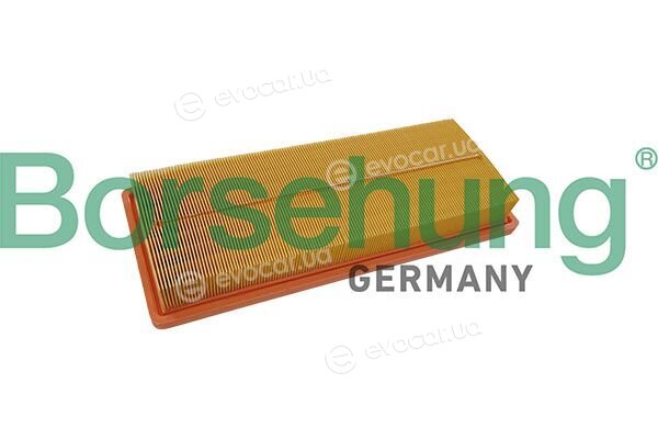 Borsehung B13064