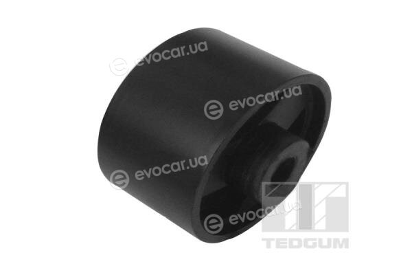 Tedgum 00028545