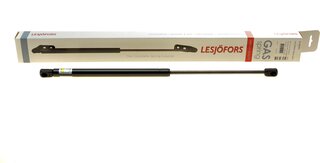Lesjofors 8104241
