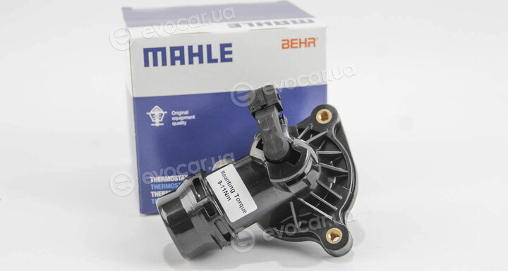 Mahle TM 18 105