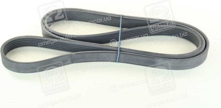Continental 6PK2030