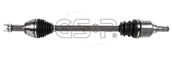 GSP 241493