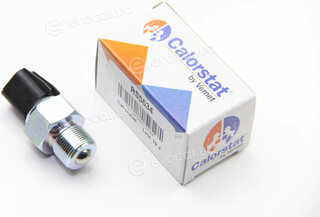Vernet / Calorstat RS5634