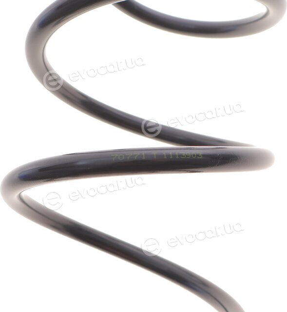 Lesjofors 4004302