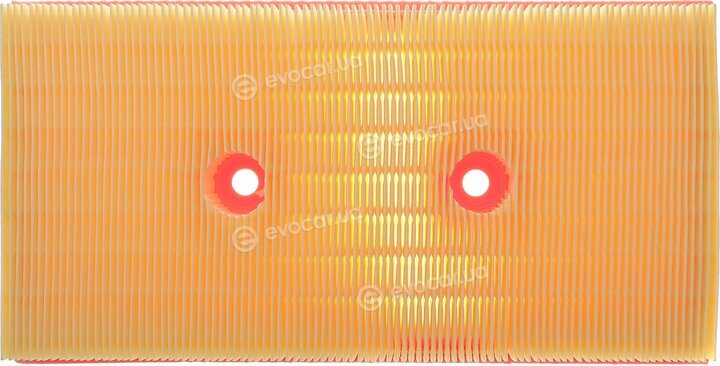 Solgy 103193