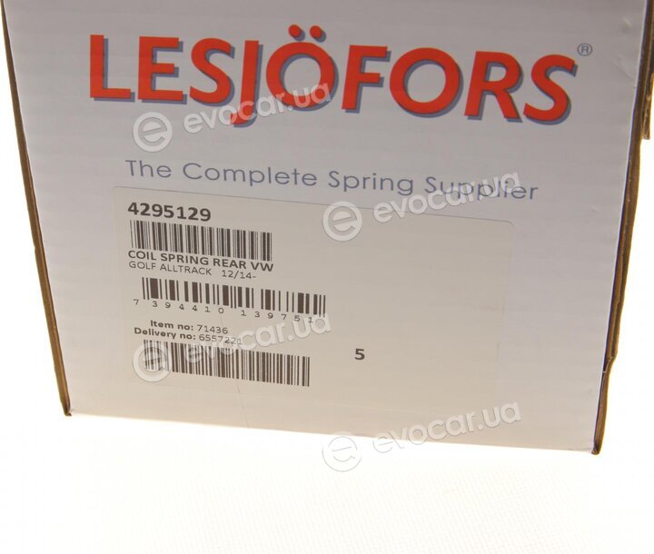 Lesjofors 4295129