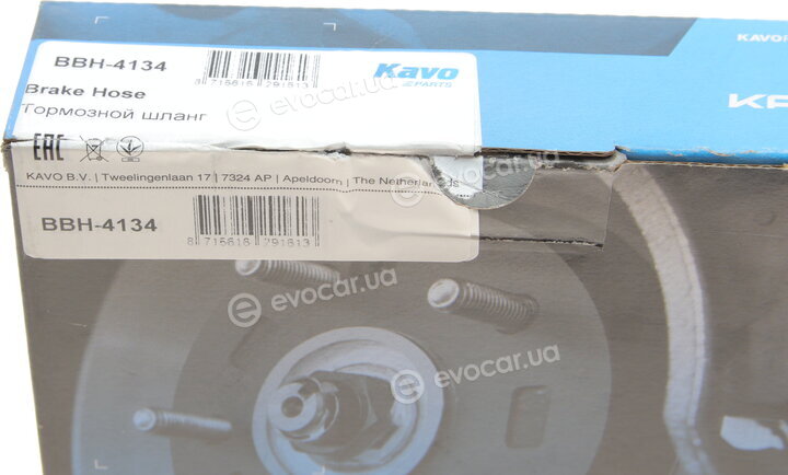 Kavo BBH-4134