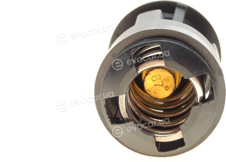 AIC 50904