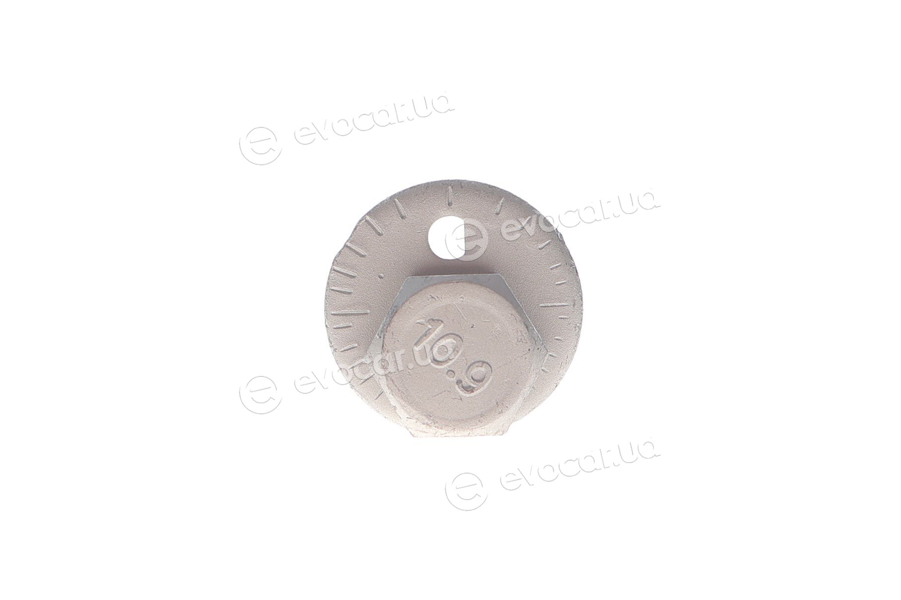 Solgy 204255