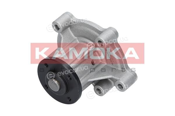 Kamoka T0183